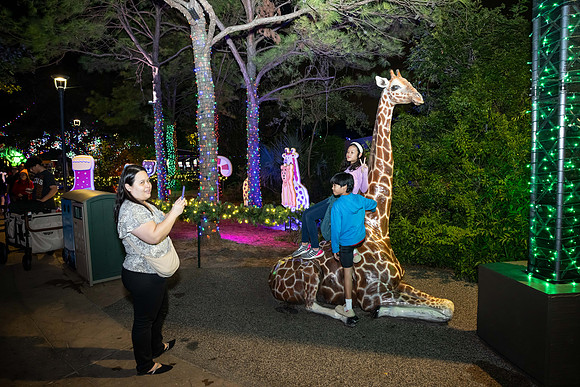 2024_St_Lukes_Zoo_Camera_1-369