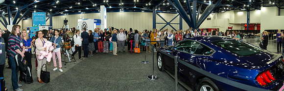 IMG_0784-Pano
