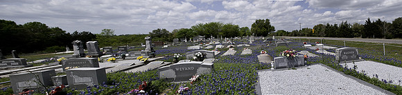 DSC_8746_1
