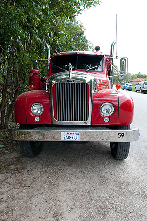 DSC_8831