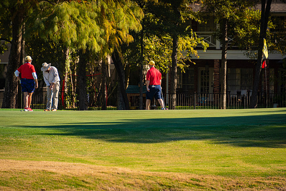 Honor Flight- Golf 11-2019310