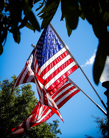 Honor Flight-10-2019455