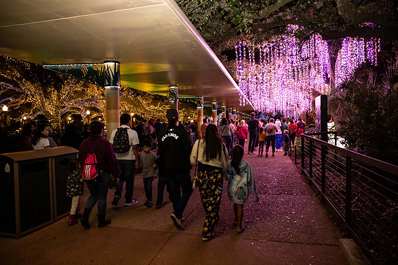 2024_St_Lukes_Zoo_Camera_1-63