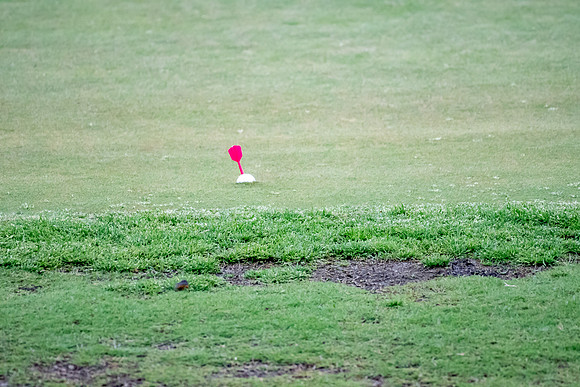 PAMA_Golf_Action-30