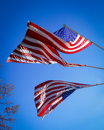 Honor Flight-10-2019458