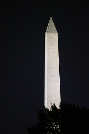 DSC_2806