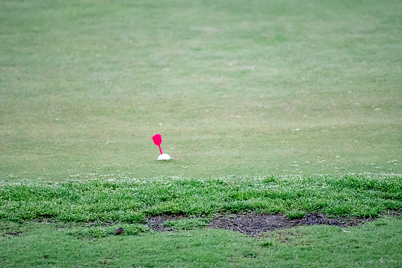 PAMA_Golf_Action-31