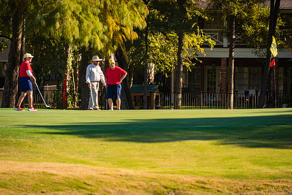 Honor Flight- Golf 11-2019314