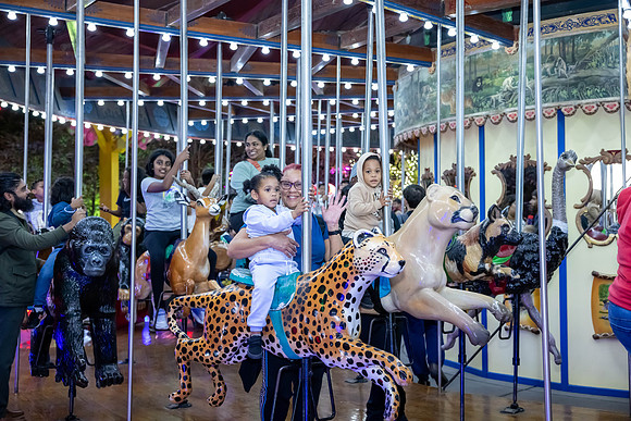 2024_St_Lukes_Zoo_Camera_1-374