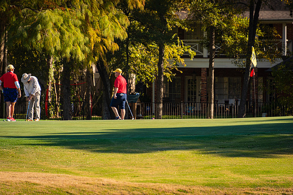 Honor Flight- Golf 11-2019312