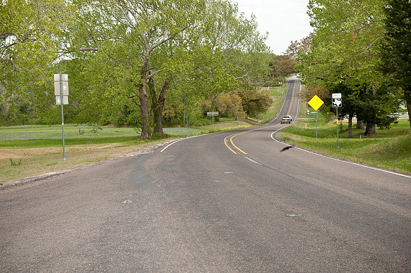 DSC_8817