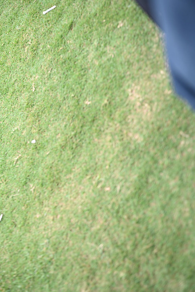 Z62_9372
