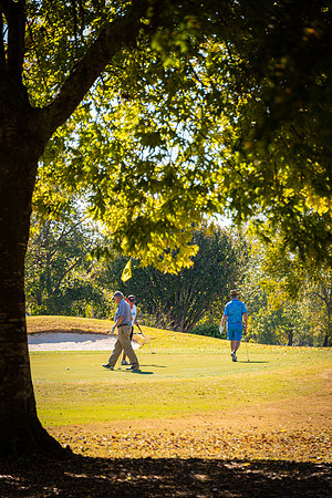Honor Flight- Golf 11-2019232