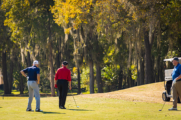 Honor Flight- Golf 11-2019042