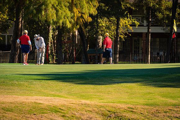 Honor Flight- Golf 11-2019309