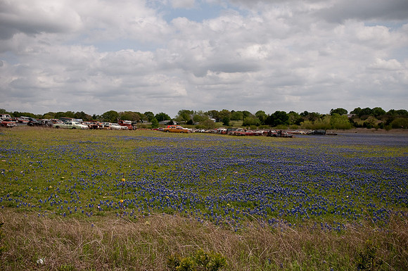 DSC_8839