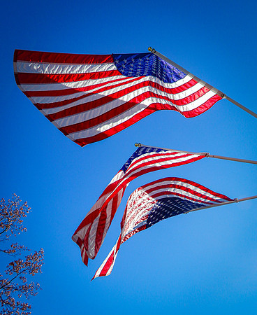Honor Flight-10-2019459