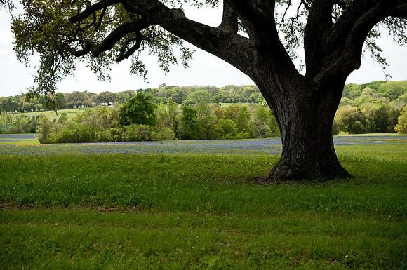 DSC_8768