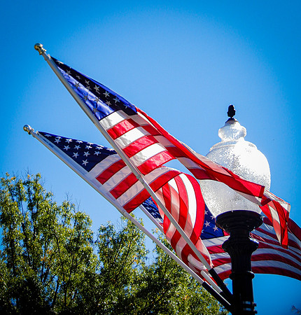 Honor Flight-10-2019454