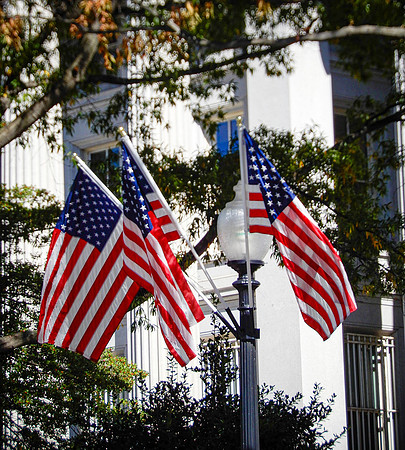 Honor Flight-10-2019457
