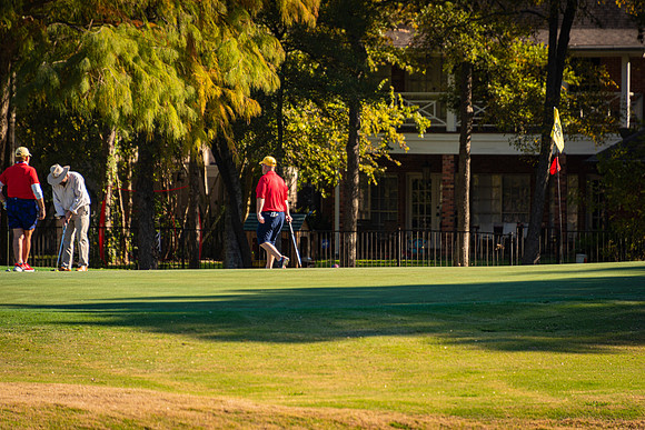 Honor Flight- Golf 11-2019311