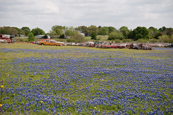 DSC_8840